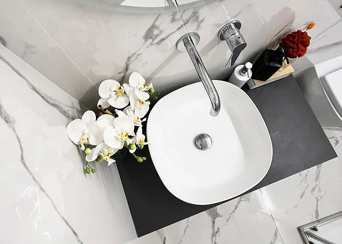 Urban Jungle Tortellinosuite مودينا