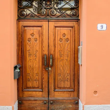 Urban Jungle Tortellinosuite 아파트