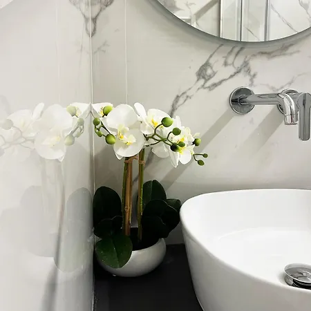 Urban Jungle Tortellinosuite * モデナ