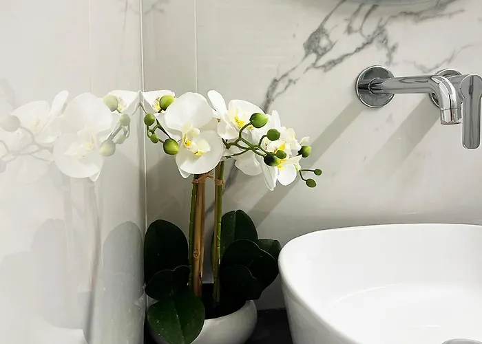 Urban Jungle Tortellinosuite * 모데나