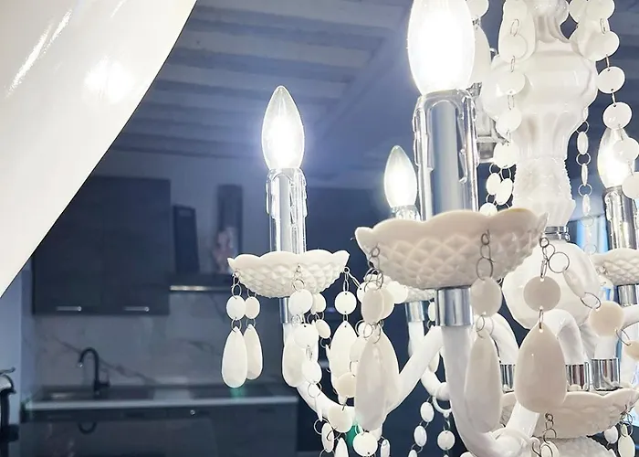 Urban Jungle Tortellinosuite 아파트